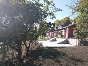 Stenläggning trädgård